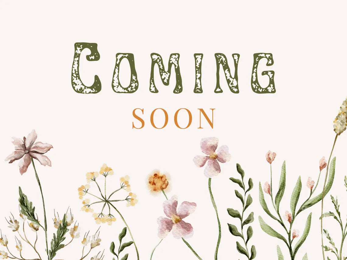 Vanilla Noir candle – hand-poured coconut soy wax with warm amber, toasted vanilla, and smoky balsam, crafted by Graceful Garden Studio