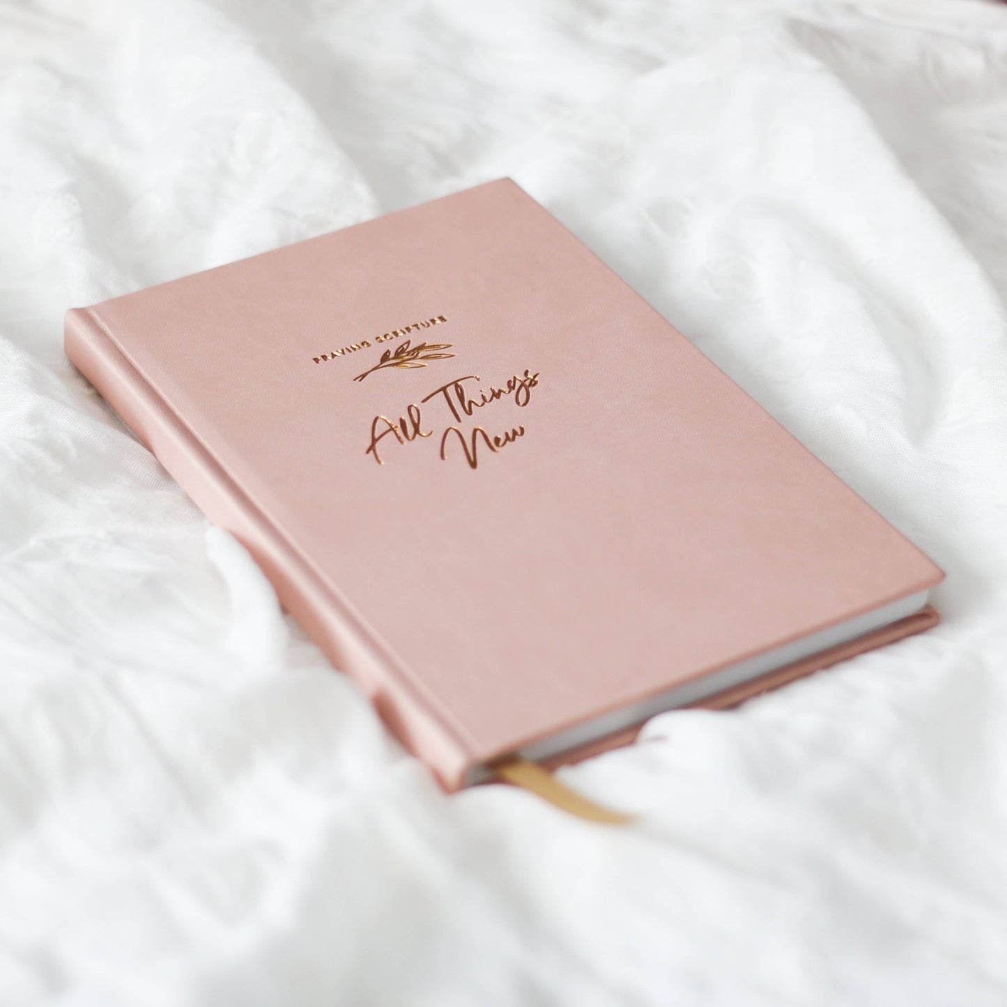 The Daily Grace Co - All Things New  | Praying Scripture Journal
