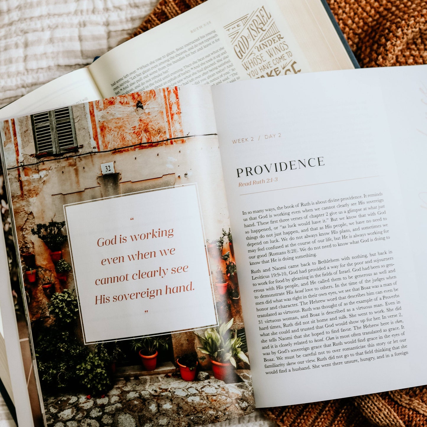 The Daily Grace Co - Ruth Study | Fields of Grace