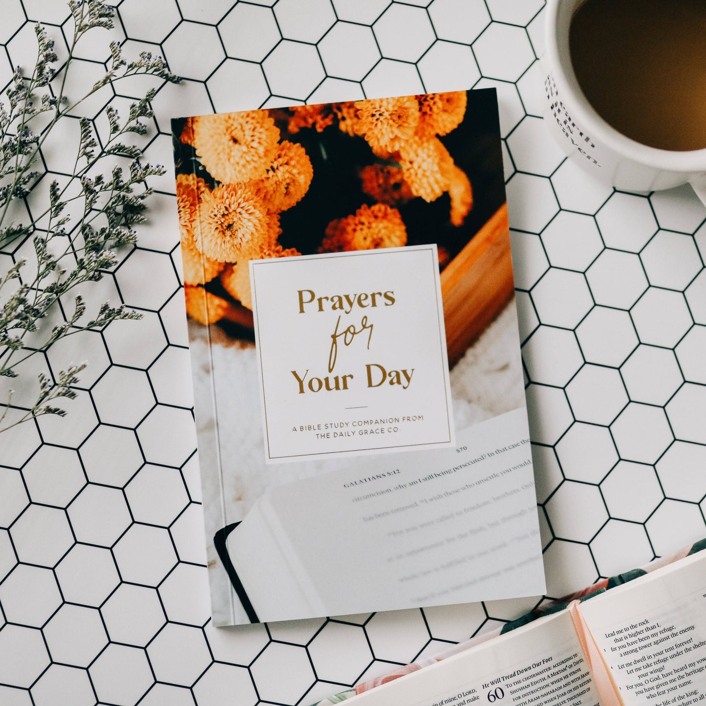 The Daily Grace Co - Prayers for Your Day Booklet