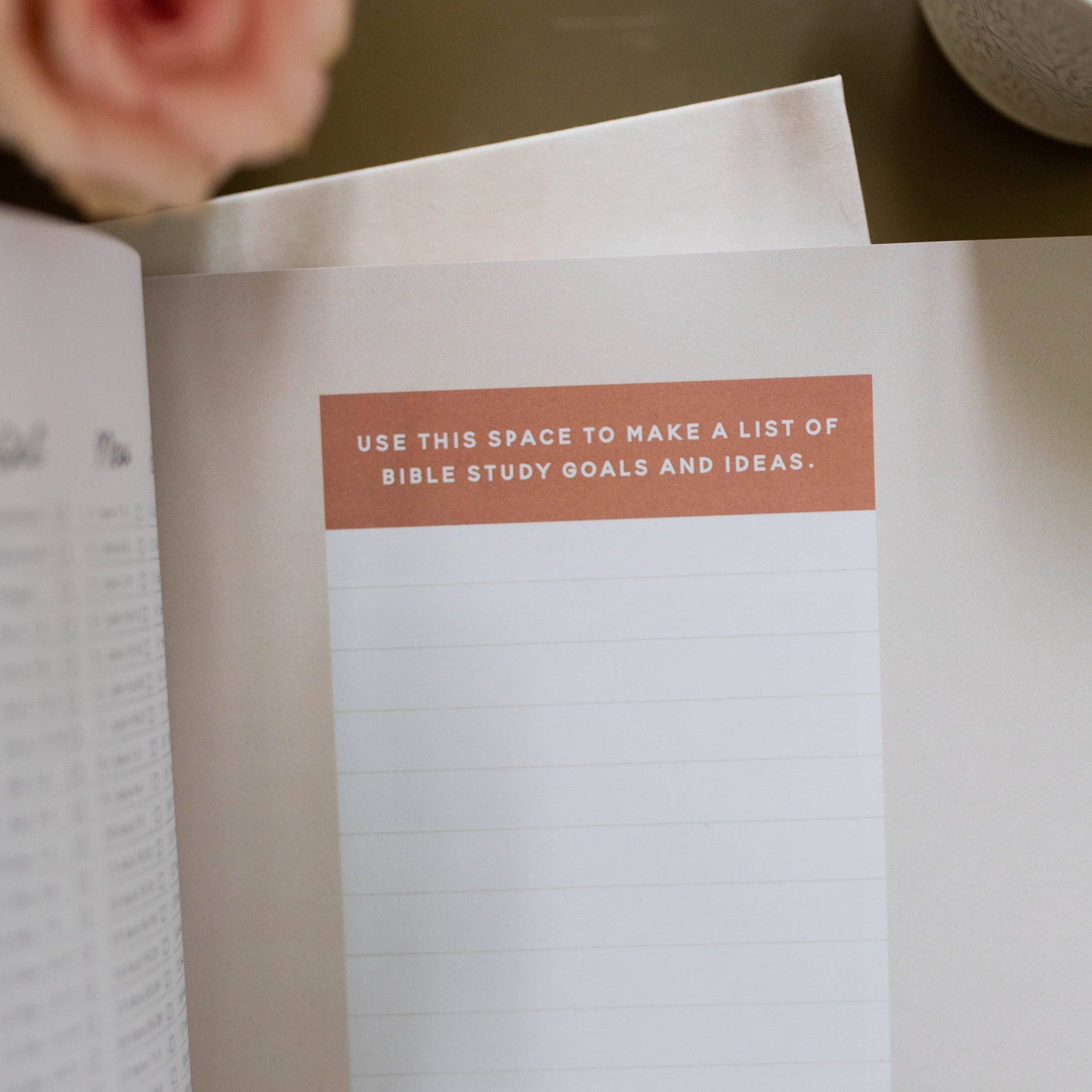 The Daily Grace Co - Growing in Grace | Spiritual Disciplines Study