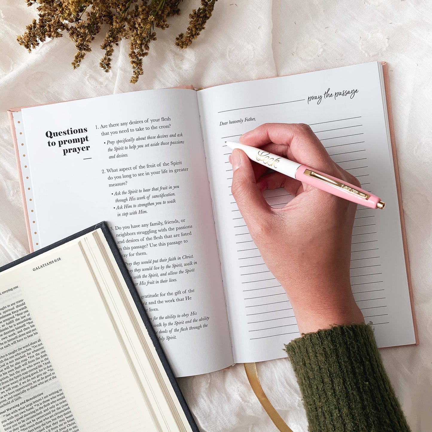 The Daily Grace Co - All Things New  | Praying Scripture Journal