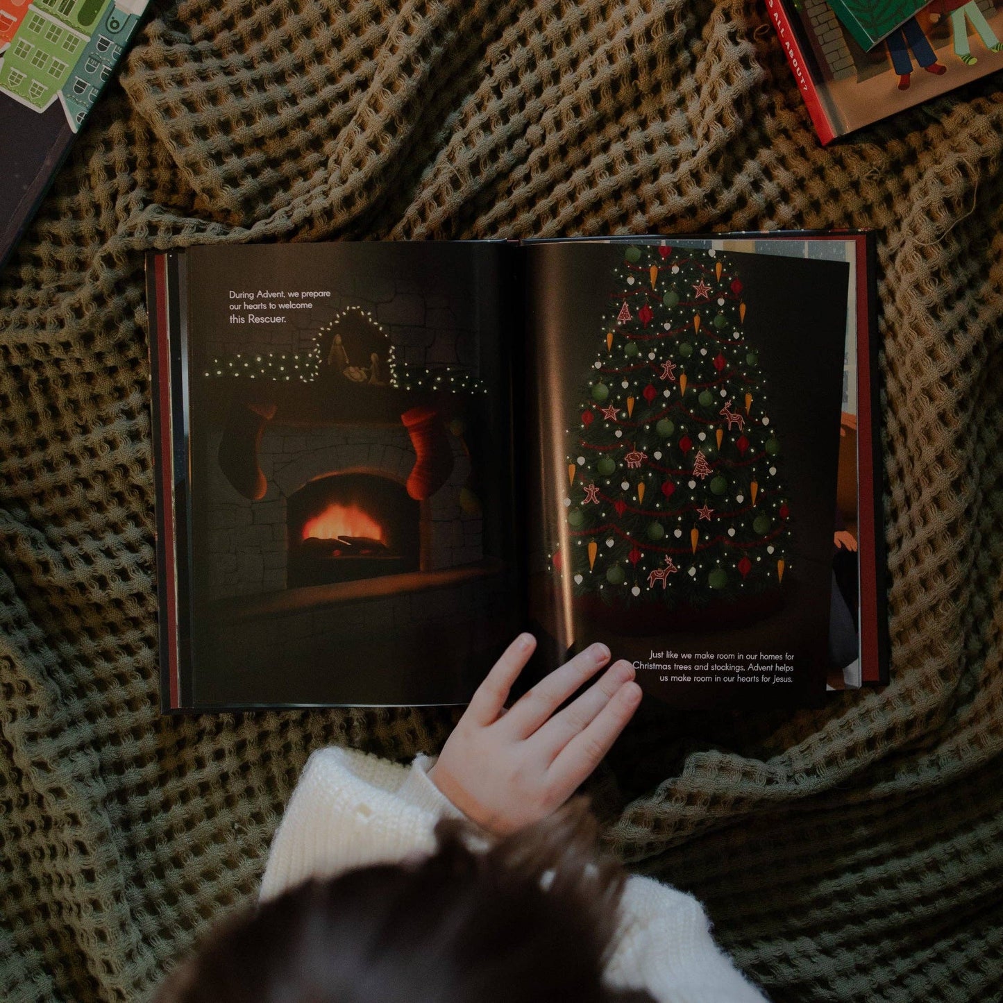 The Daily Grace Co - The Advent Gift Children's Book