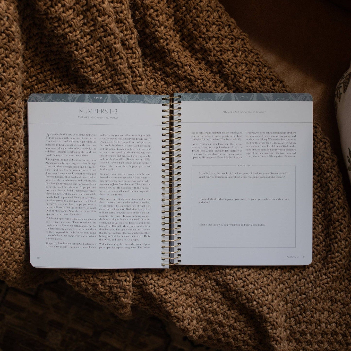 The Daily Grace Co - A Year in the Bible | 365 Days of Discovering the Beauty of Jesus from Genesis to Revelation | Volume 1