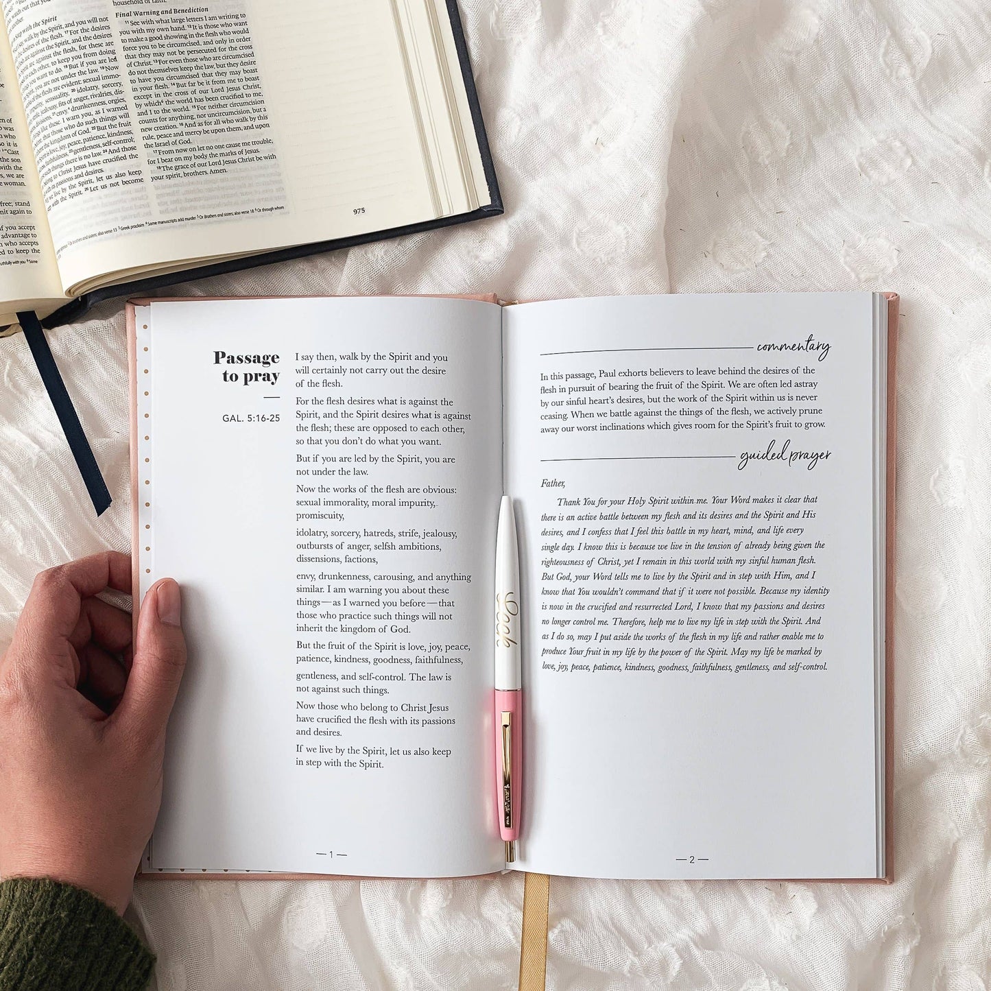 The Daily Grace Co - All Things New  | Praying Scripture Journal