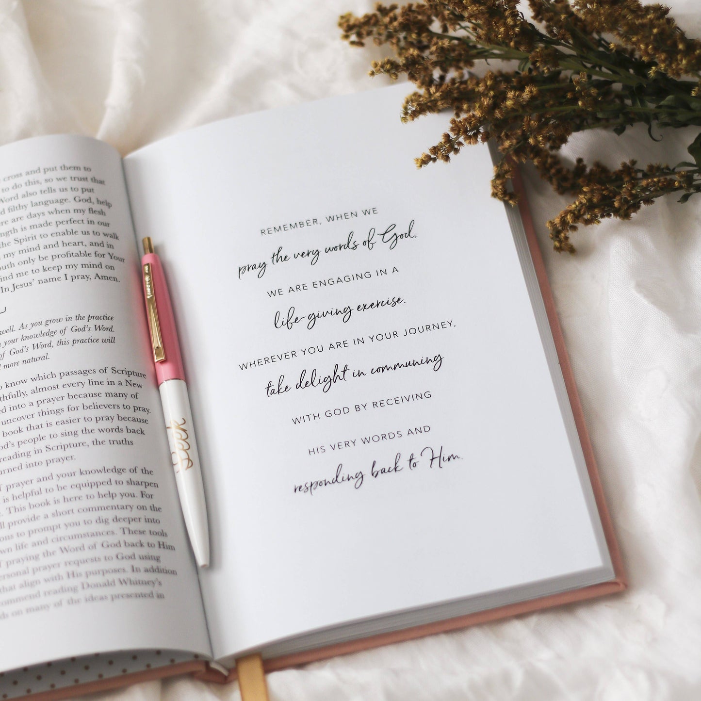 The Daily Grace Co - All Things New  | Praying Scripture Journal