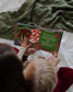 The Daily Grace Co - What is Christmas All About? Children's Touch-And-Feel Board Book