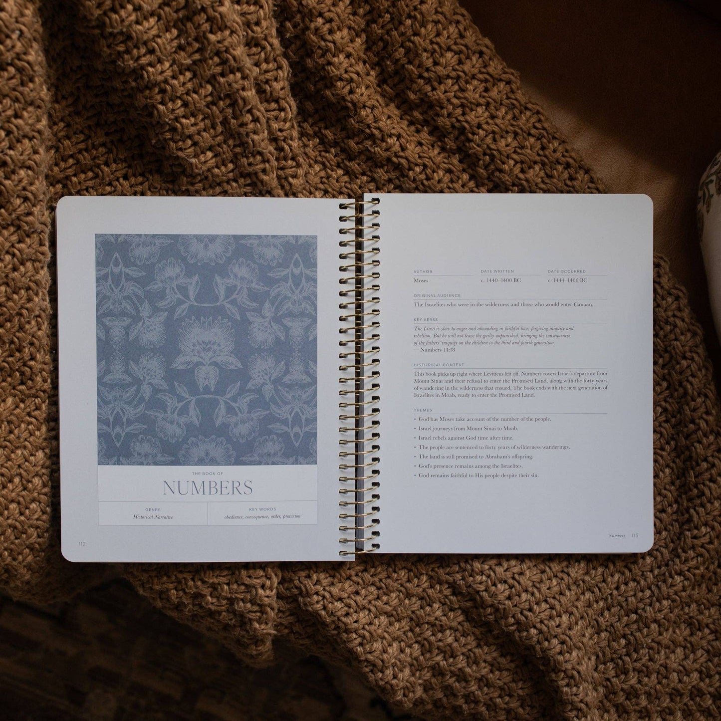 The Daily Grace Co - A Year in the Bible | 365 Days of Discovering the Beauty of Jesus from Genesis to Revelation | Volume 1