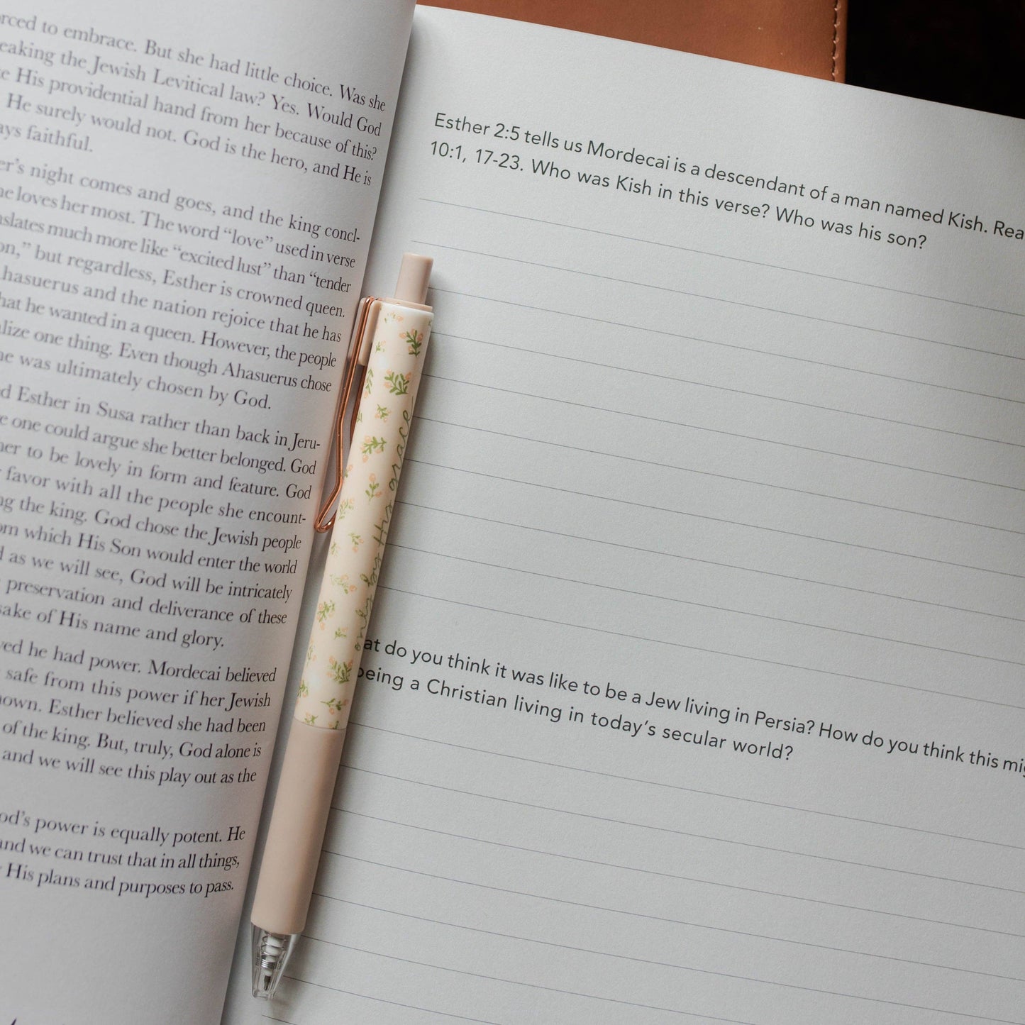 The Daily Grace Co - Esther | Seeing God When He Is Silent