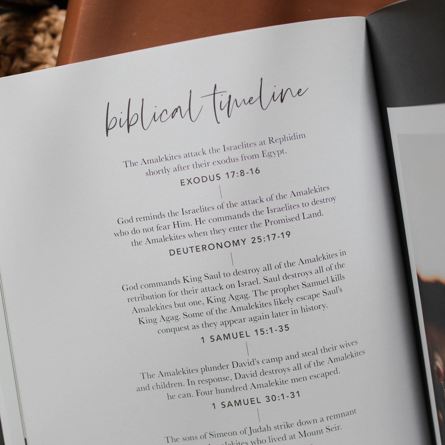 The Daily Grace Co - Esther | Seeing God When He Is Silent