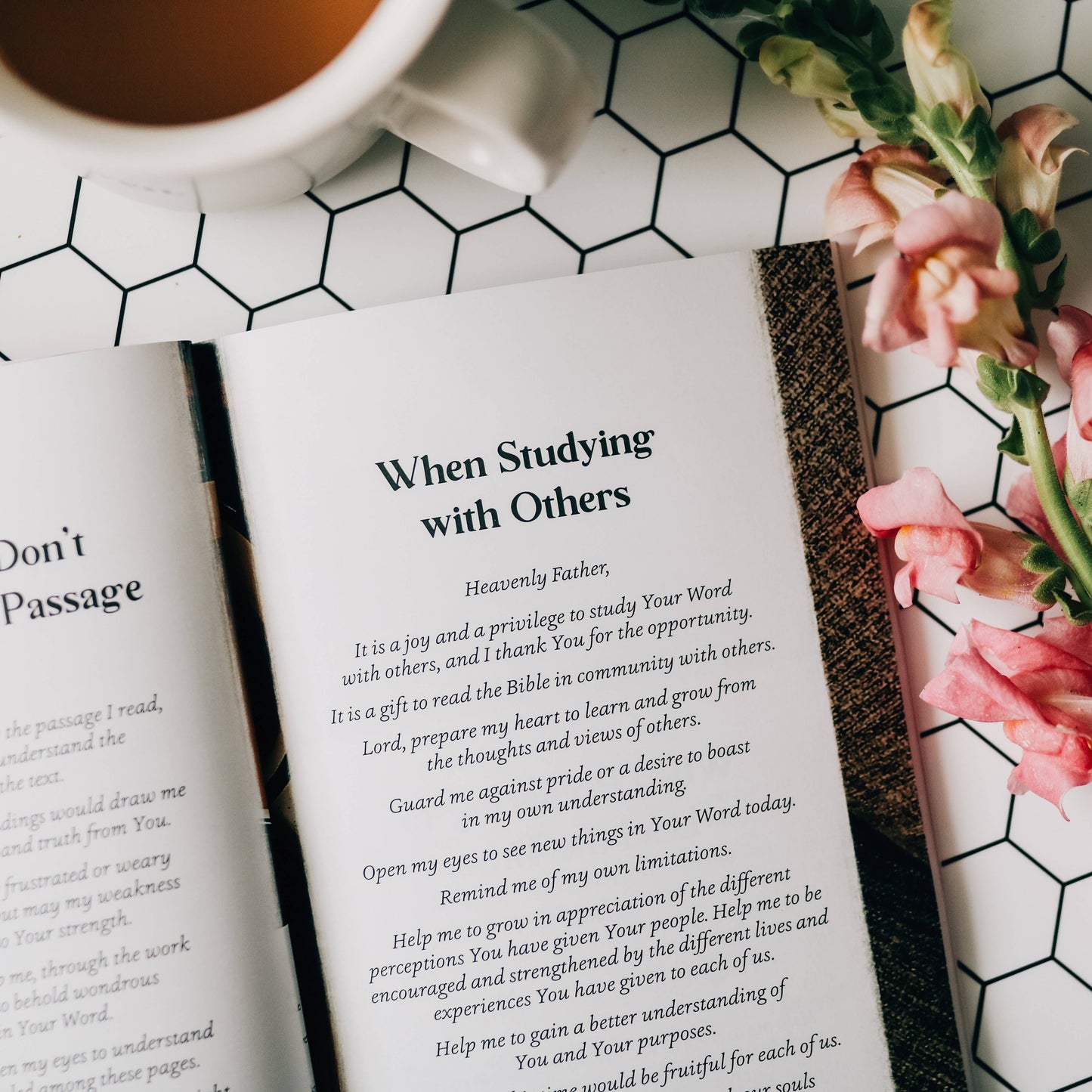 The Daily Grace Co - Prayers for Your Day Booklet