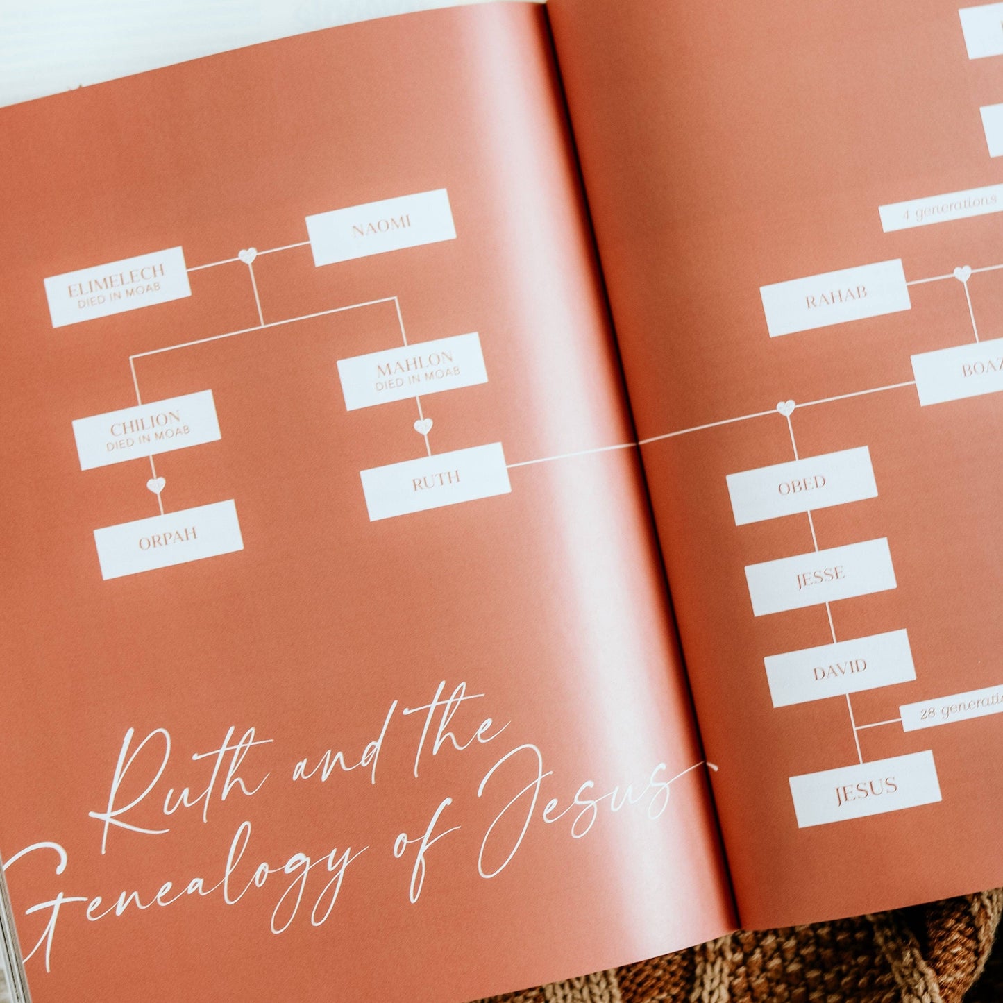 The Daily Grace Co - Ruth Study | Fields of Grace