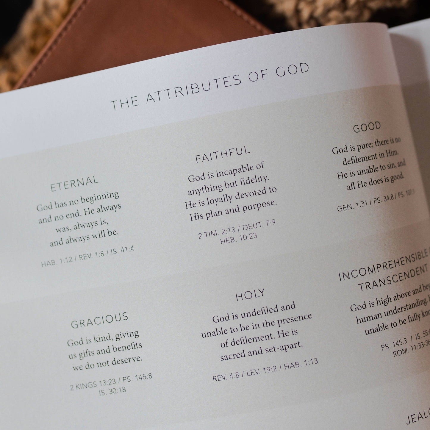 The Daily Grace Co - Esther | Seeing God When He Is Silent