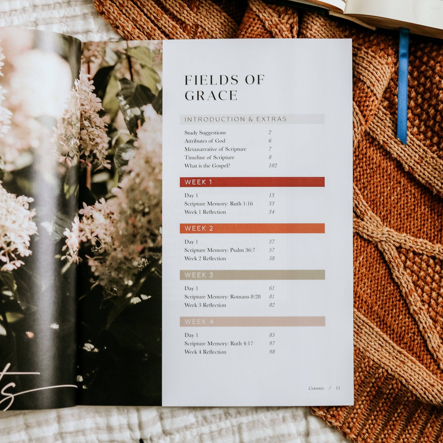 The Daily Grace Co - Ruth Study | Fields of Grace